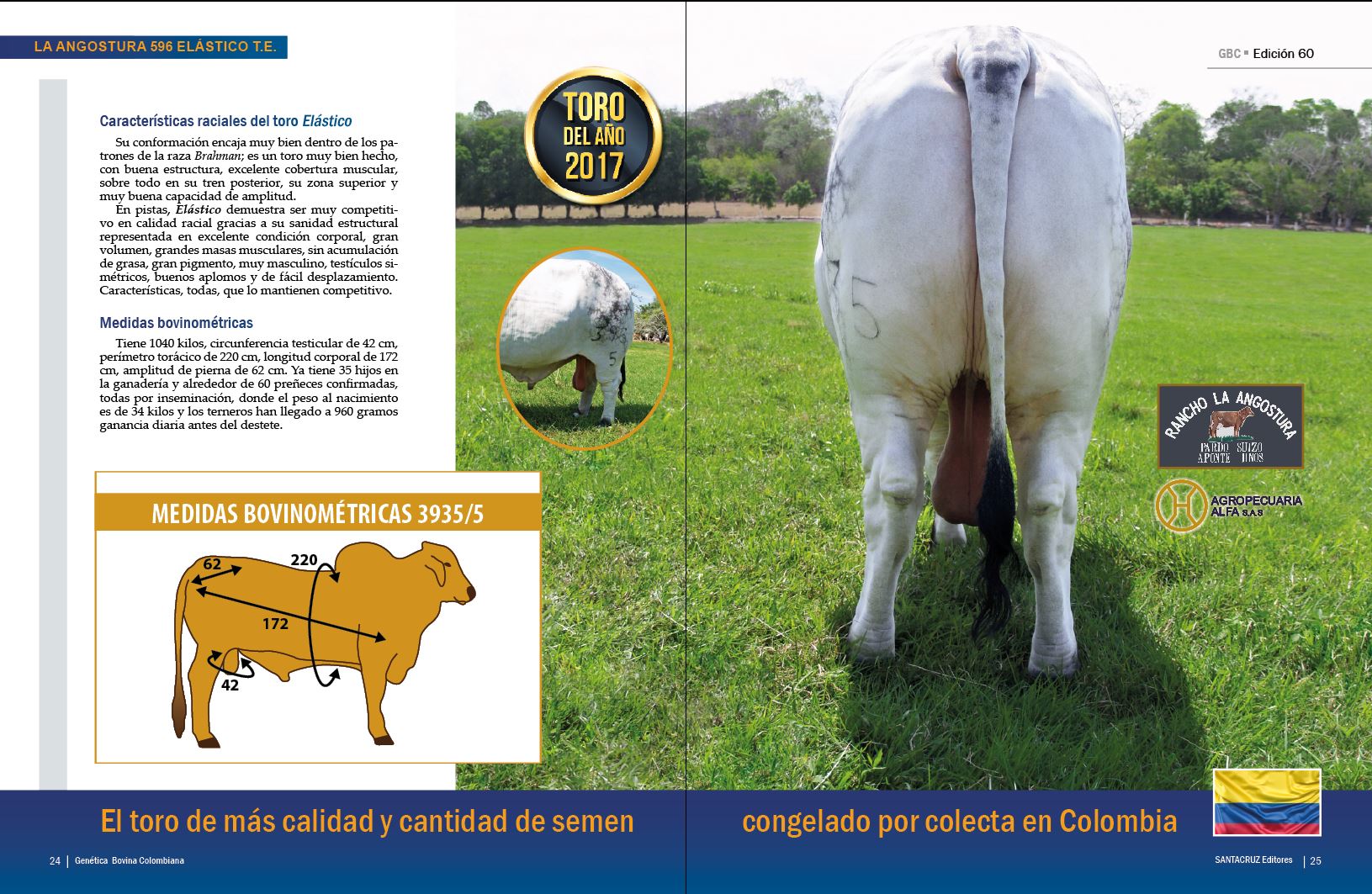 Edicion 60 Revista Genética Colombiana 7654