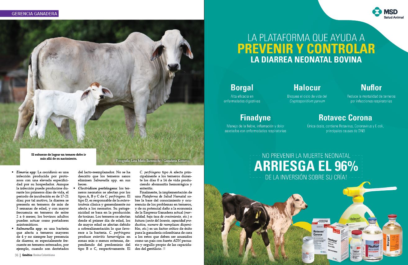 Edicion Actual - Revista Genética Colombiana