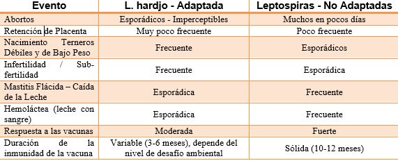 leptospirosis bovina