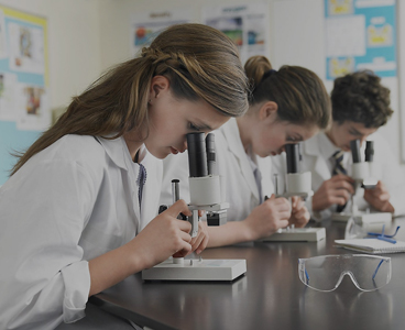 Cómo producir carne eficientemente en el Trópico II.