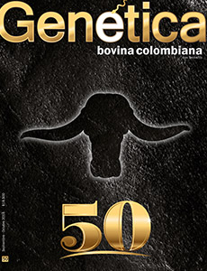 Edición 50