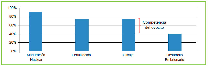 Fig. 1. Porcentaje de éxito en cada pso de Pive