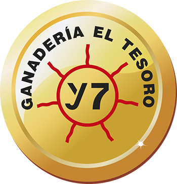 Logo tesoro2