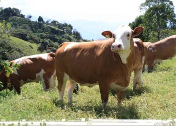 Hacienda La Chapolera