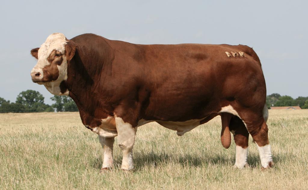 Hacienda La Chapolera