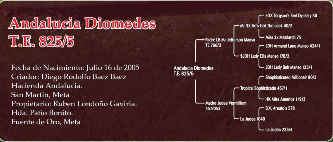 Diomedes 825/5: toro Brahman Rojo que deja un gran legado