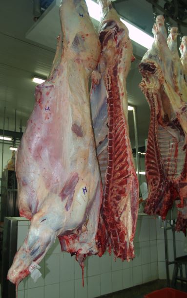 Qué es la calidad de la carne