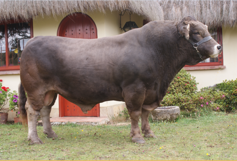 evaluaciones andrológicas