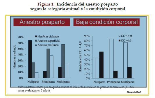 IATF: “Herramienta clave en la eficiencia del hato de cría”