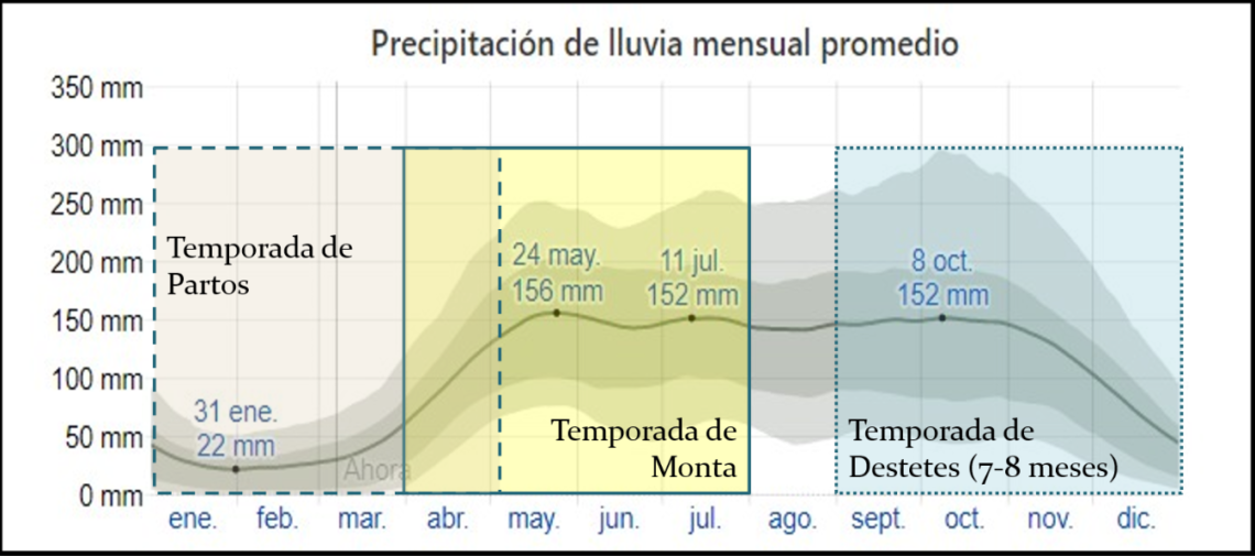Monta estacionaria, estación de monta o temporada de monta