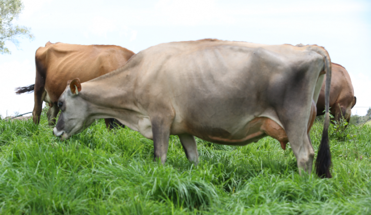 El período de transición