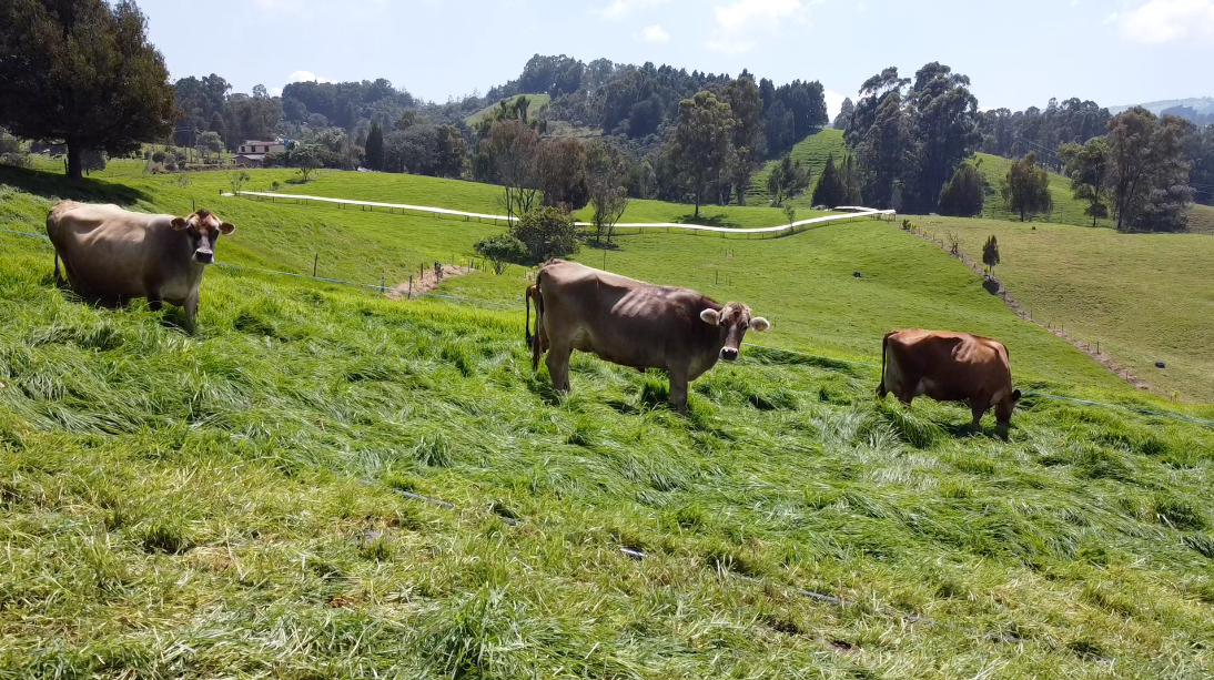 El período de transición