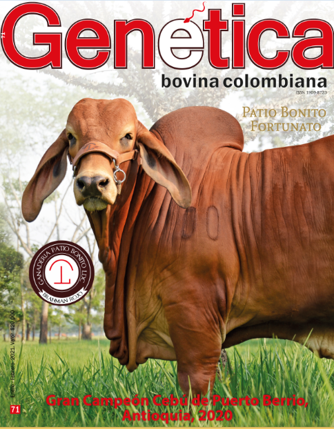 Patio Bonito Fortunato LDC 4329/81