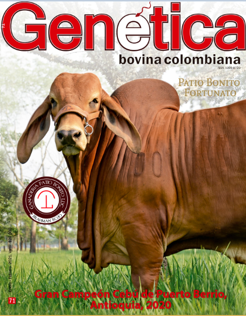 Patio Bonito Fortunato LDC 4329/81