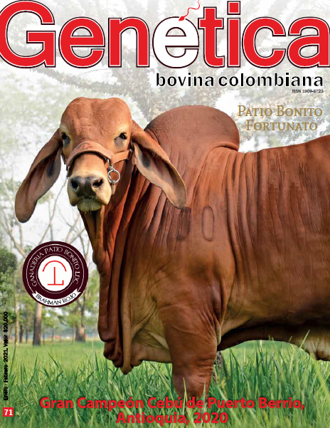 Patio Bonito Fortunato LDC 4329/81