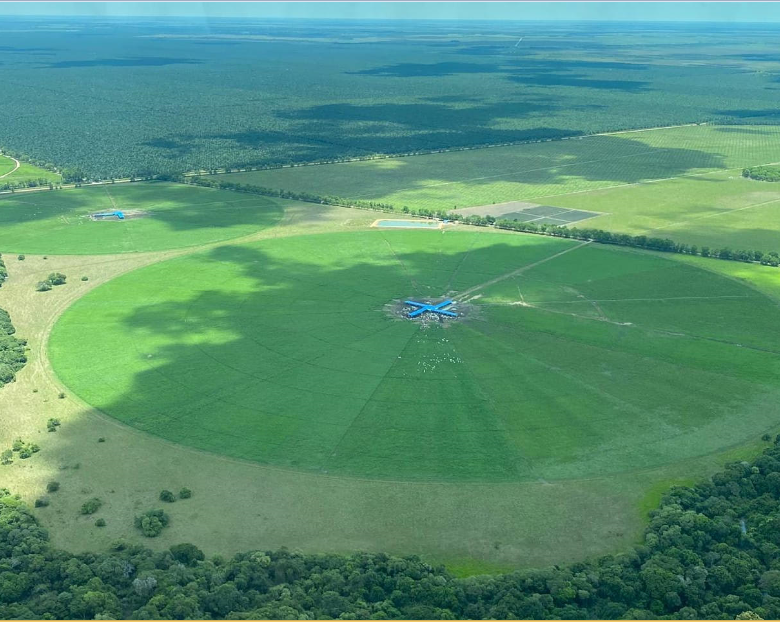 Ganadería La Palma y Corozito