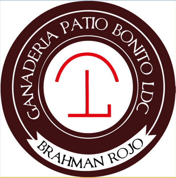 Patio Bonito Fortunato LDC 4329/81