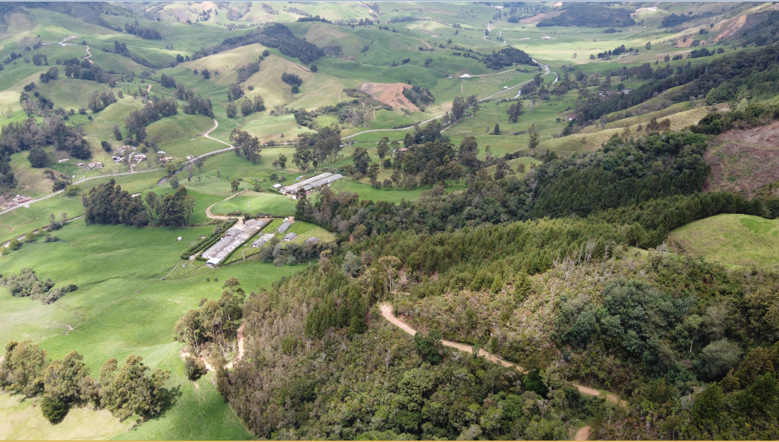 Dos décadas de revolución en genética enmarcan el futuro para crear una ventaja competitiva en su negocio