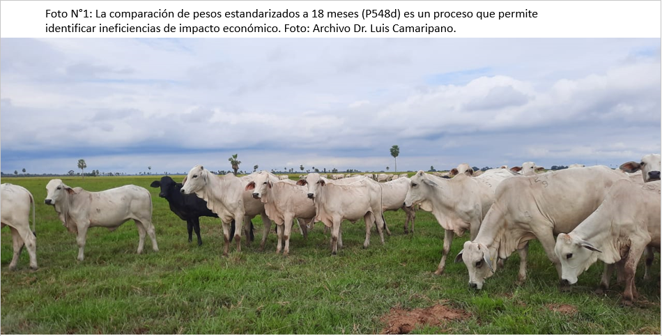 Parámetros productivos en sistemas de monta estacionaria