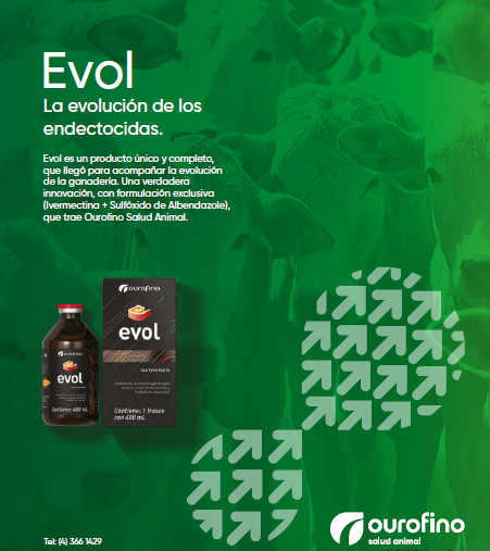 Terneras: ¿Cómo garantizar su futuro productivo?