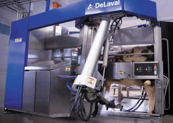 Robot de ordeño: breve historia y funcionamiento