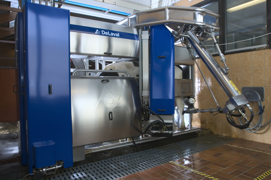 Robot de ordeño: breve historia y funcionamiento