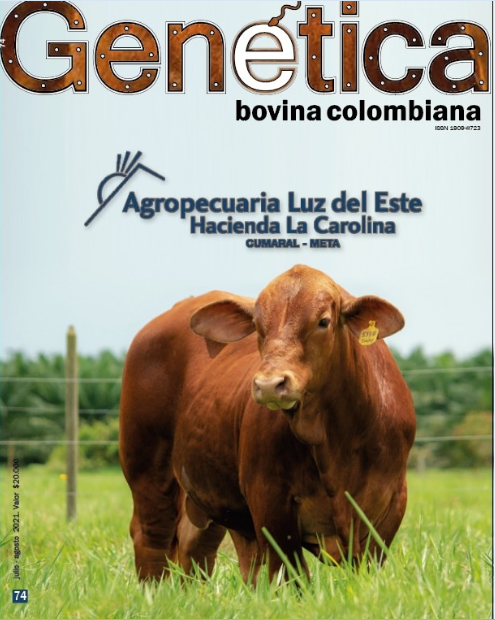 Agropecuaria Luz del Este, genética pura Brangus