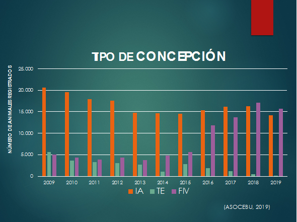 transferencia de embriones