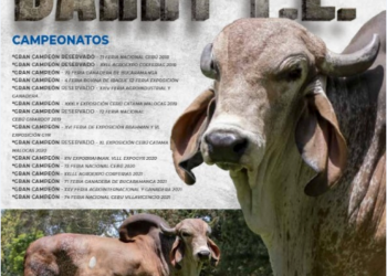 Agropecuaria Vía Láctea