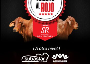 San Julián Trueno Lucio 597/86