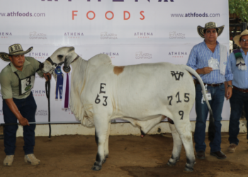 Expoterneros 2023 Montería, ya arrancó