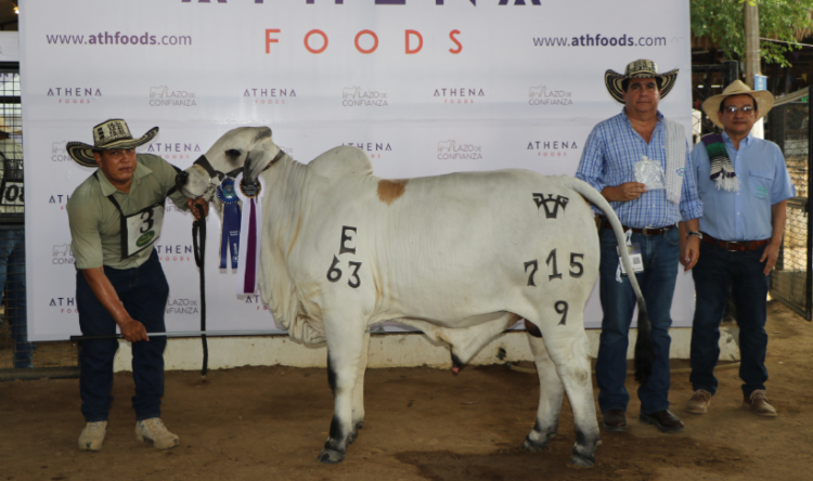 Expoterneros 2023 Montería, ya arrancó