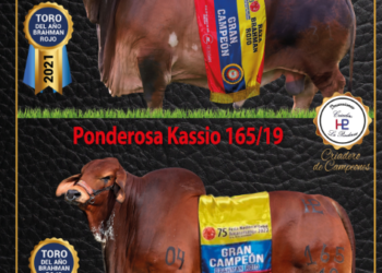 Hacienda La Ponderosa: «criadero de campeones»
