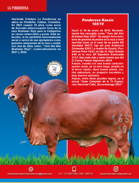 Hacienda La Ponderosa: «criadero de campeones»