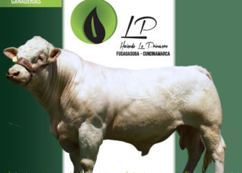 Hacienda La Primavera: