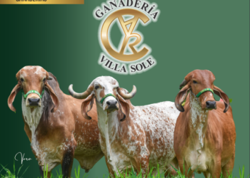 Ganadería Villa Sole