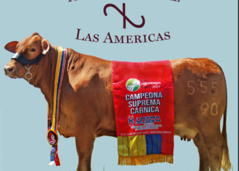 Agroindustrial Las Américas