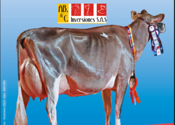 AB&C Inversiones: “Hicimos historia”