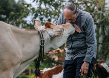 II Remate Genética a la Vanguardia