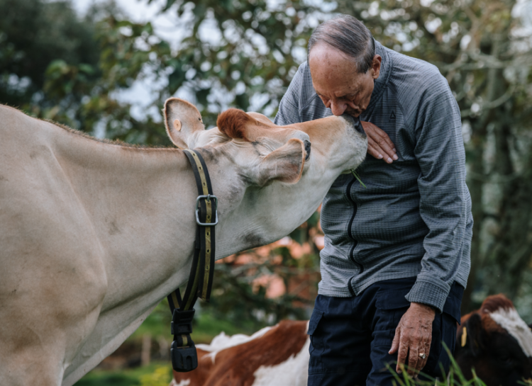 II Remate Genética a la Vanguardia