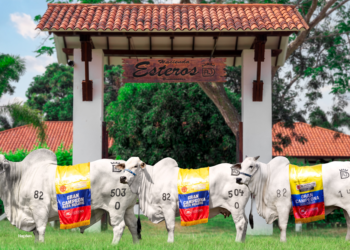 Hacienda los Esteros