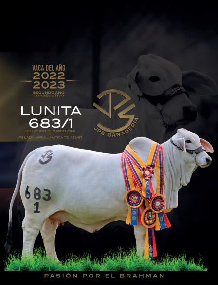 JPS Ganadería: pasión por el Brahman
