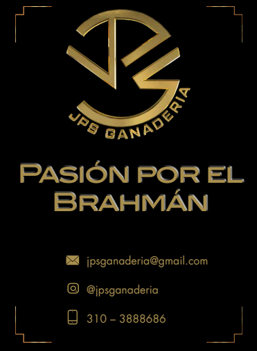 JPS Ganadería: pasión por el Brahman