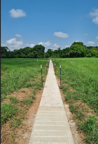 Ganadería San Santiago