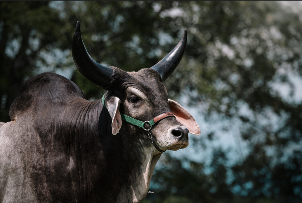 Hasta pronto Don Gabriel!!