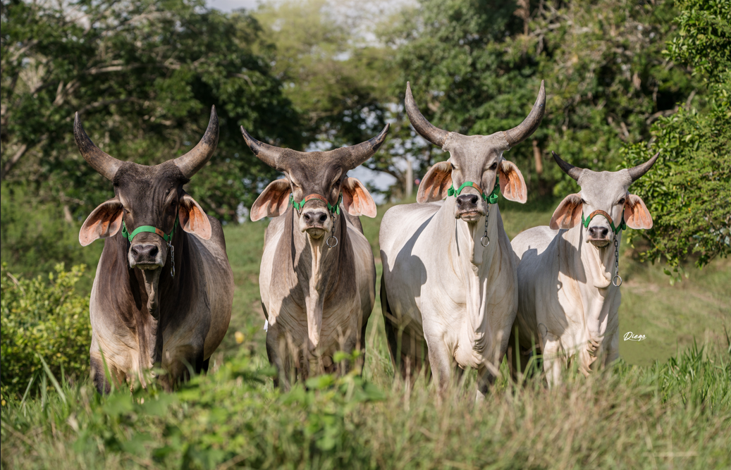 Hasta pronto Don Gabriel!!