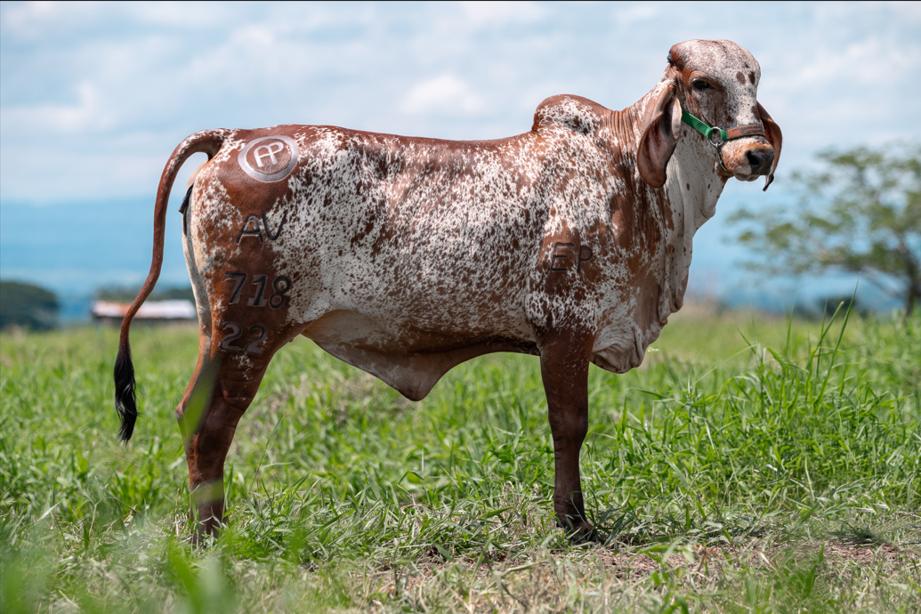 Hasta pronto Don Gabriel!!