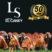 Ganadería El Caney