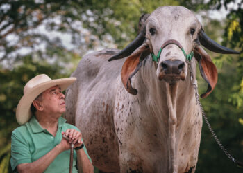 Hasta pronto Don Gabriel!!