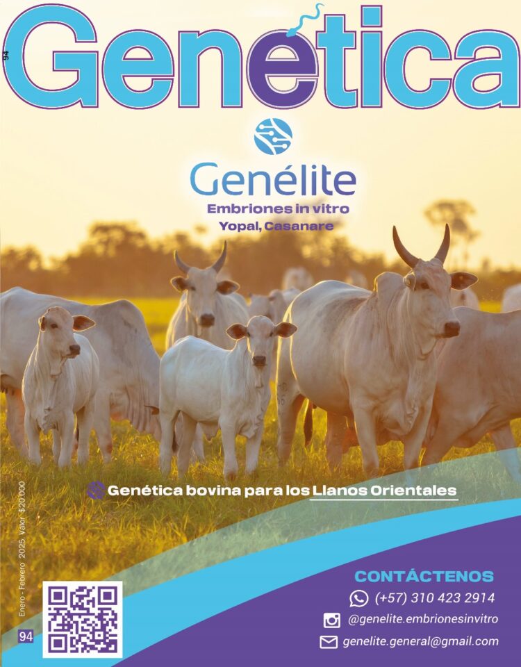 Genélite: un año de éxito